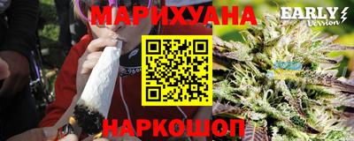 шишки Будённовск