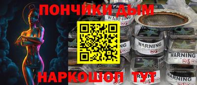 шишки Будённовск