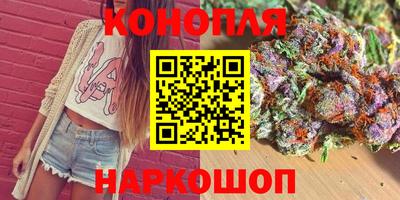 шишки Будённовск