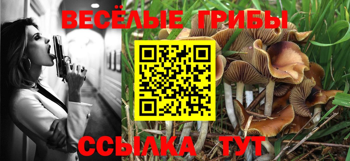 цены наркотик  Галлюциногенные грибы Cubensis  Вход с VPN  Жуковский 