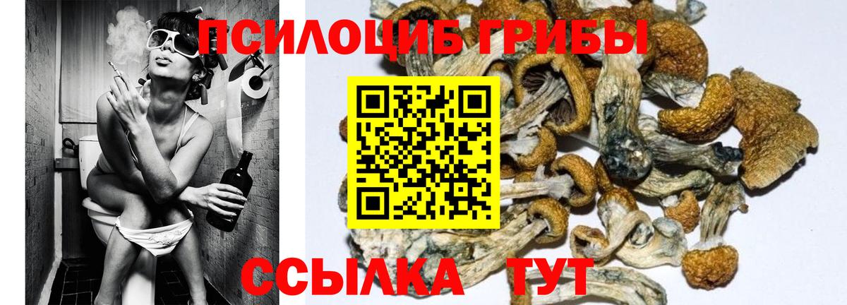 МАРИХУАНА  Жуковский  Вход с VPN  Меф МЯУ МЯУ   ГАШ 
