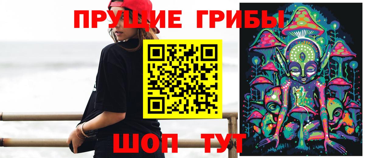 Галлюциногенные грибы Psilocybe Жуковский